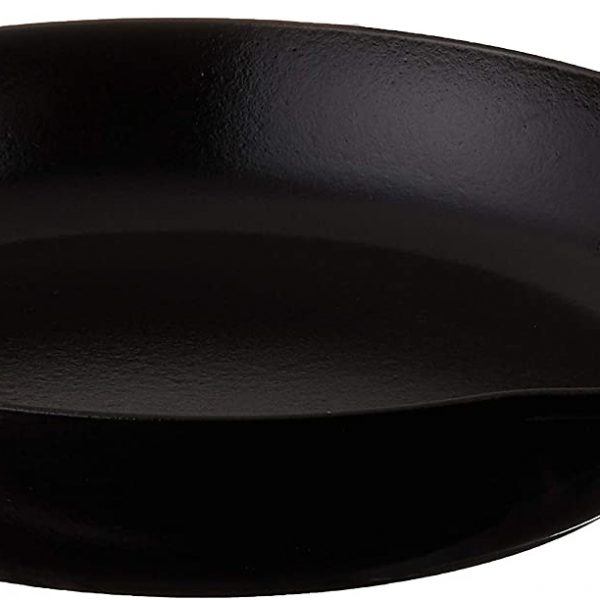 Cast Iron 10-inch Fry Pan